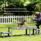Grey wooden agility bridge with pause platform and pet stair for dog training