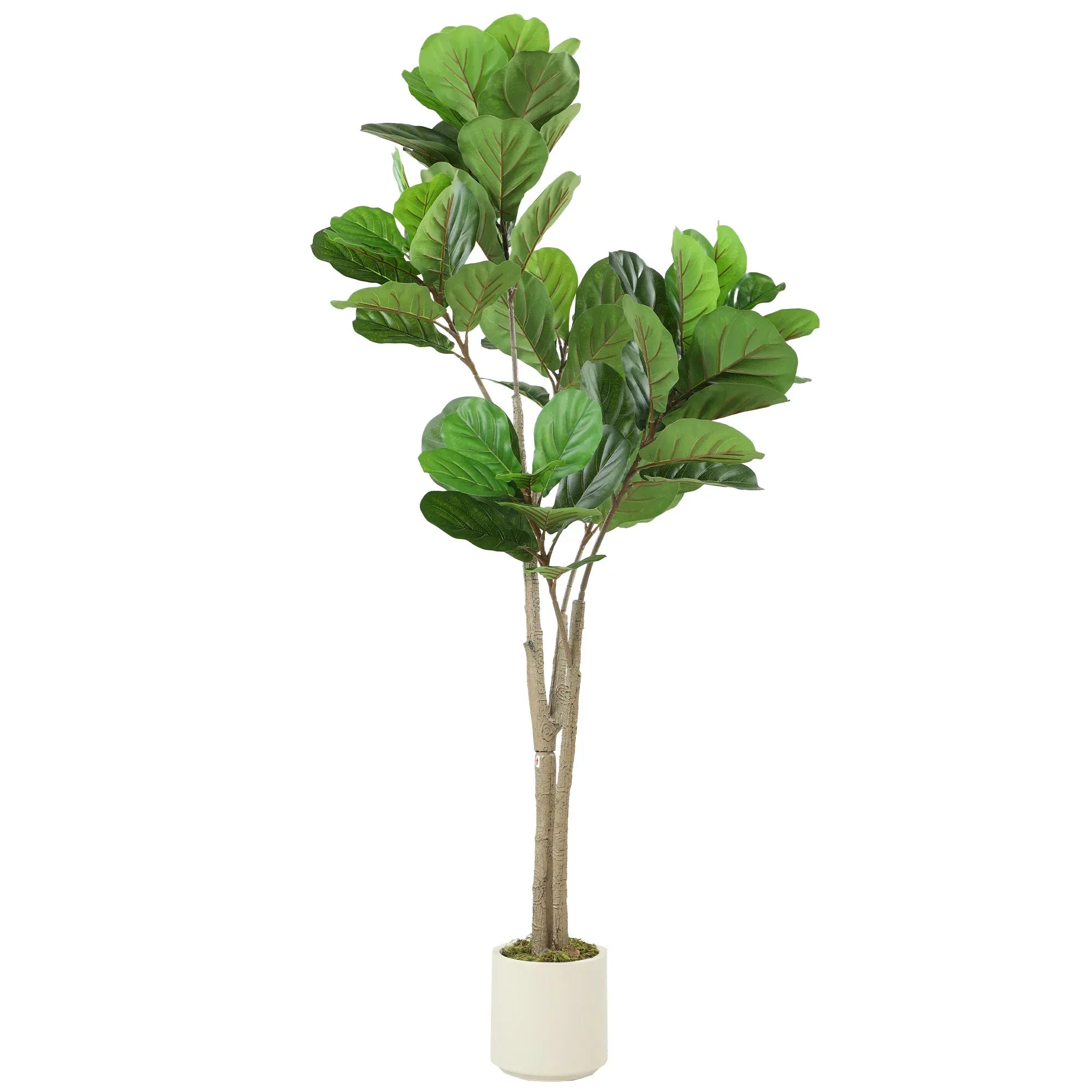 150cm Artificial Ficus Tree - Green - Bobobiy