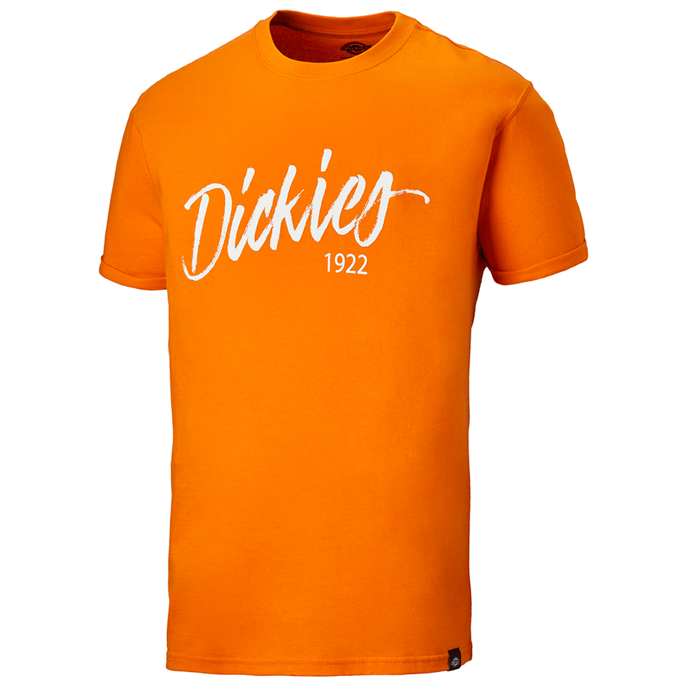 Dickies-DT6012-22-Hanston-Graphic-T-Shirt-Various-Colours-Workwear-Nation-Ltd-174 - Bobobiy