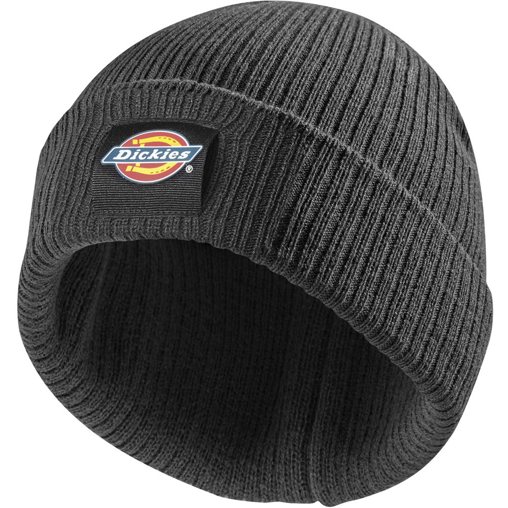 Dickies-DT8003-22-Evadale-Logo-Beanie-Various-Colours-Workwear-Nation-Ltd-2149 - Bobobiy