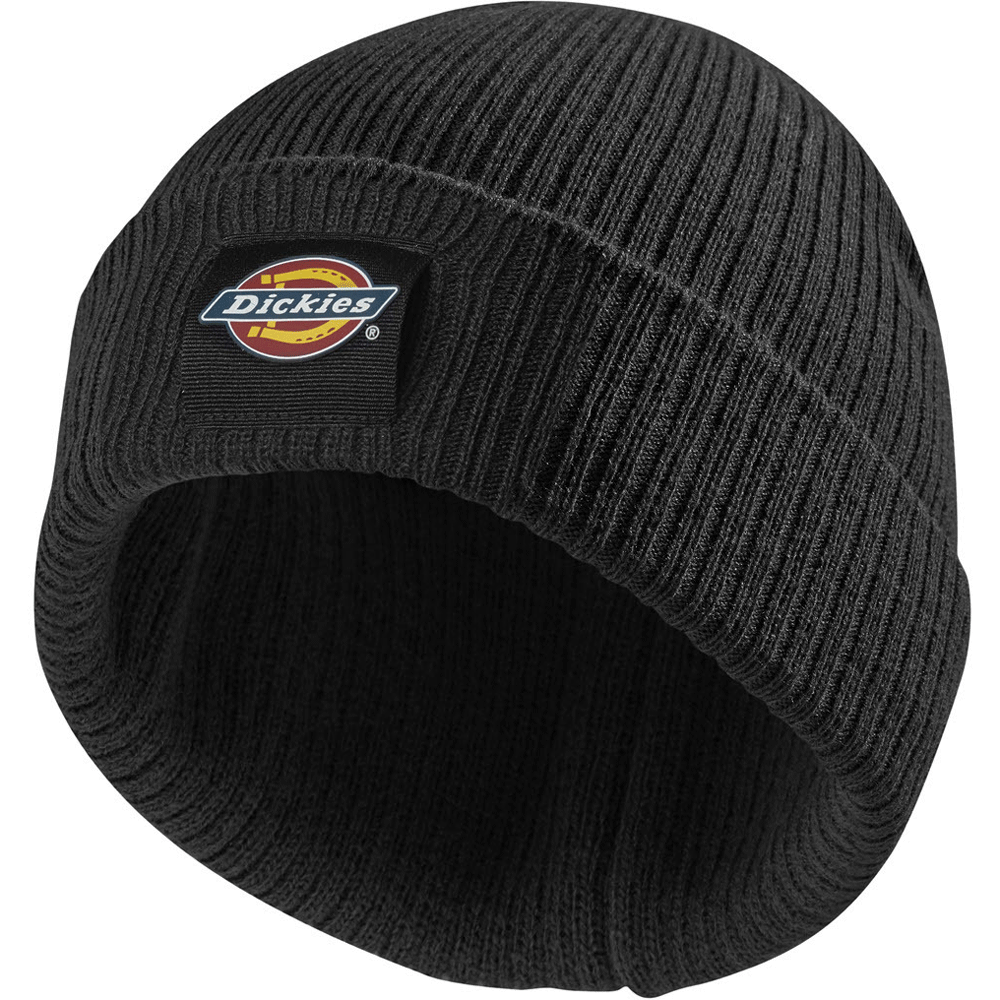 Dickies-DT8003-22-Evadale-Logo-Beanie-Various-Colours-Workwear-Nation-Ltd-7892 - Bobobiy