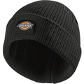 Dickies-DT8003-22-Evadale-Logo-Beanie-Various-Colours-Workwear-Nation-Ltd-7892 - Bobobiy