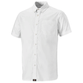 Dickies-SH65250-Premium-Short-Sleeve-Oxford-Shirt-Various-Colours-Workwear-Nation-Ltd-5269_26727e05-73e2-40dd-bc2a-10eadd0d65ae - Bobobiy