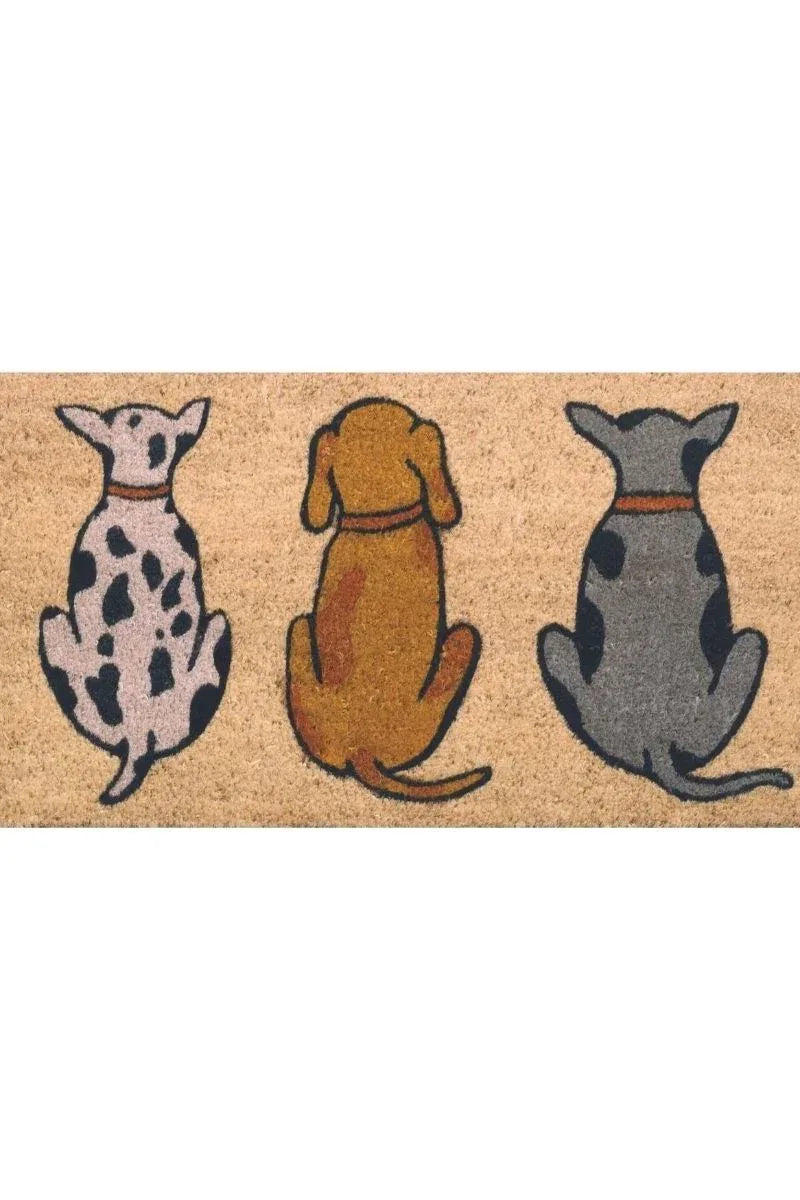 Dogs - Bobobiy