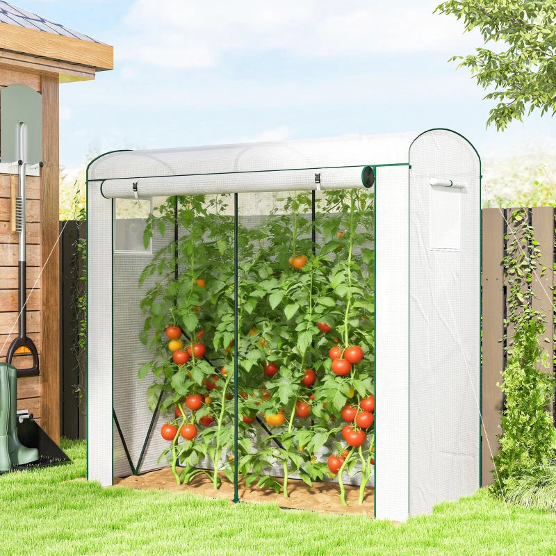 White mini greenhouse with PE cover, mesh windows, and tomato plants