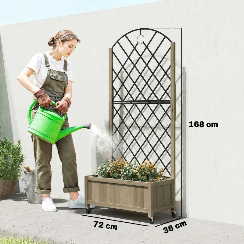 Raised planter with metal trellis and flowers, arched top, on lockable caster wheels