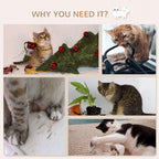 Beige wall-mounted cat shelf set in use: cats resting and climbing on shelves