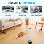 Blue interactive cat toy with health & happiness infographic and floor track pieces