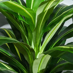 Close-up of artificial green leaves with striped texture on a potted plant