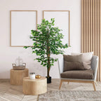 Green artificial ficus tree with slender trunk and dark pot