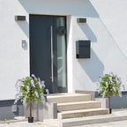 Two artificial wisteria plants in black pots on outdoor steps with purple-white blooms