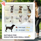 Brown pet stroller sizing chart for miniature and small dogs on a graphic card