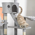 Light grey cat tree cube condo and ramp with sisal posts, featuring a cat on the side perch