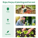 Green walk-in polytunnel greenhouse used for growing fruits, flowers, and vegetables