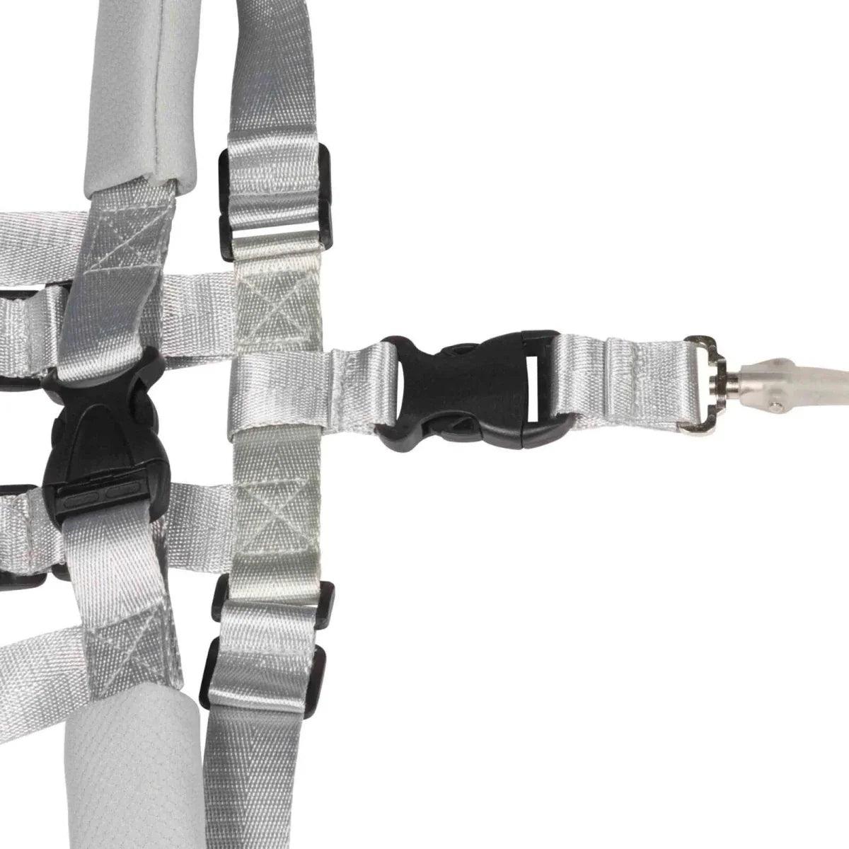 Dooky Safety Harness Set 