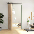 Black barn door hardware track kit on top rail, light wood folding door panels