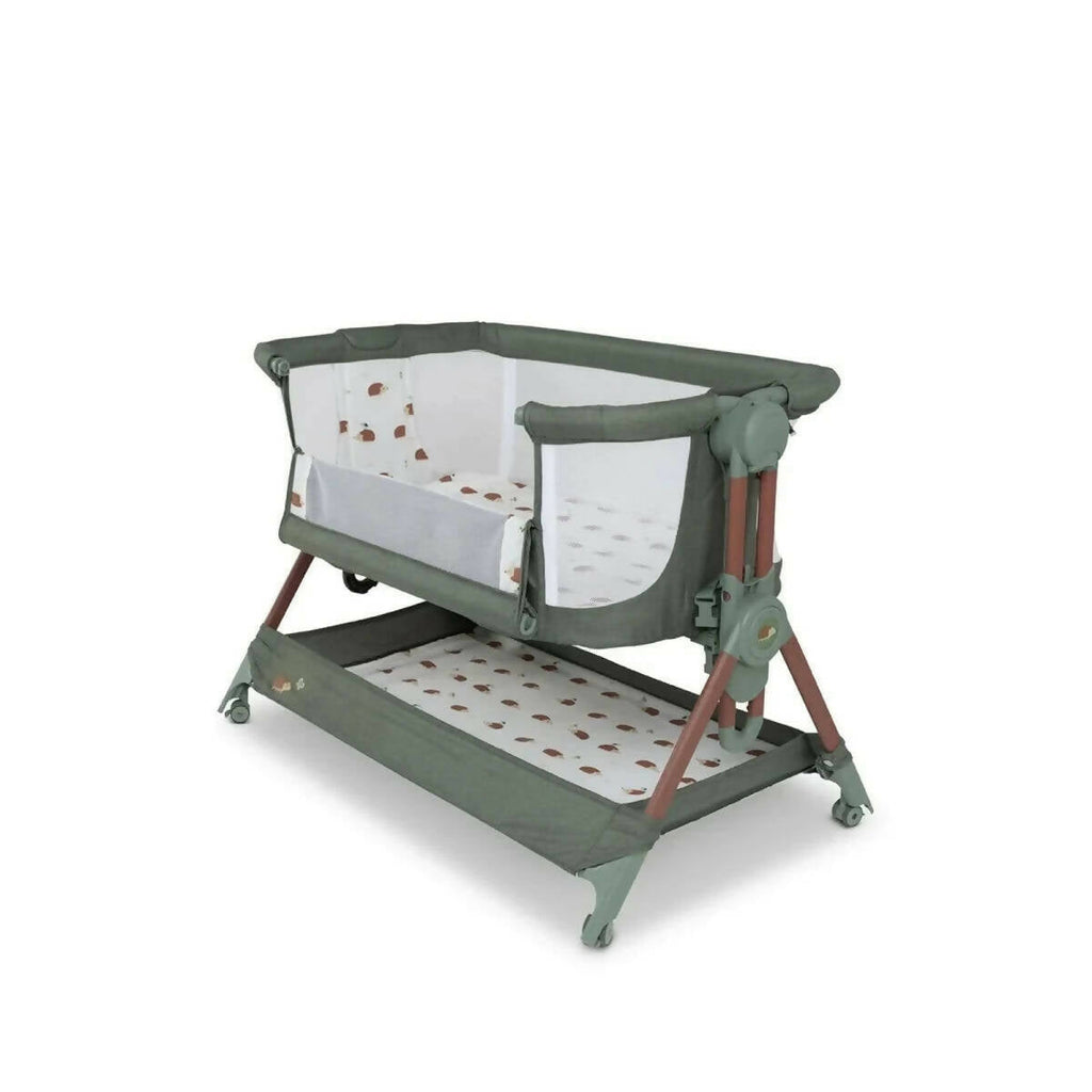 Olive folding bedside crib with canopy, white mesh sides, and brown leg supports