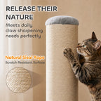 Cat scratching post with beige sisal rope texture and gray round top