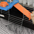 Inside view of guinea pig hutch with orange ramp and blue platform between wire bars