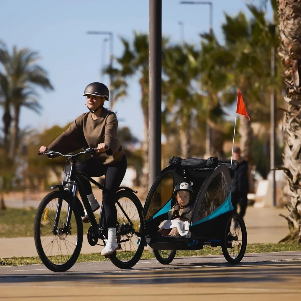 3-in-1 stroller on wheels with black canopy, turquoise accents, and sunshade