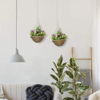 Two hanging wicker flower planters with pink blooms and green foliage, suspended by chains