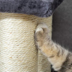 Sisal rope-wrapped post with grey plush edge, cat paw reaching