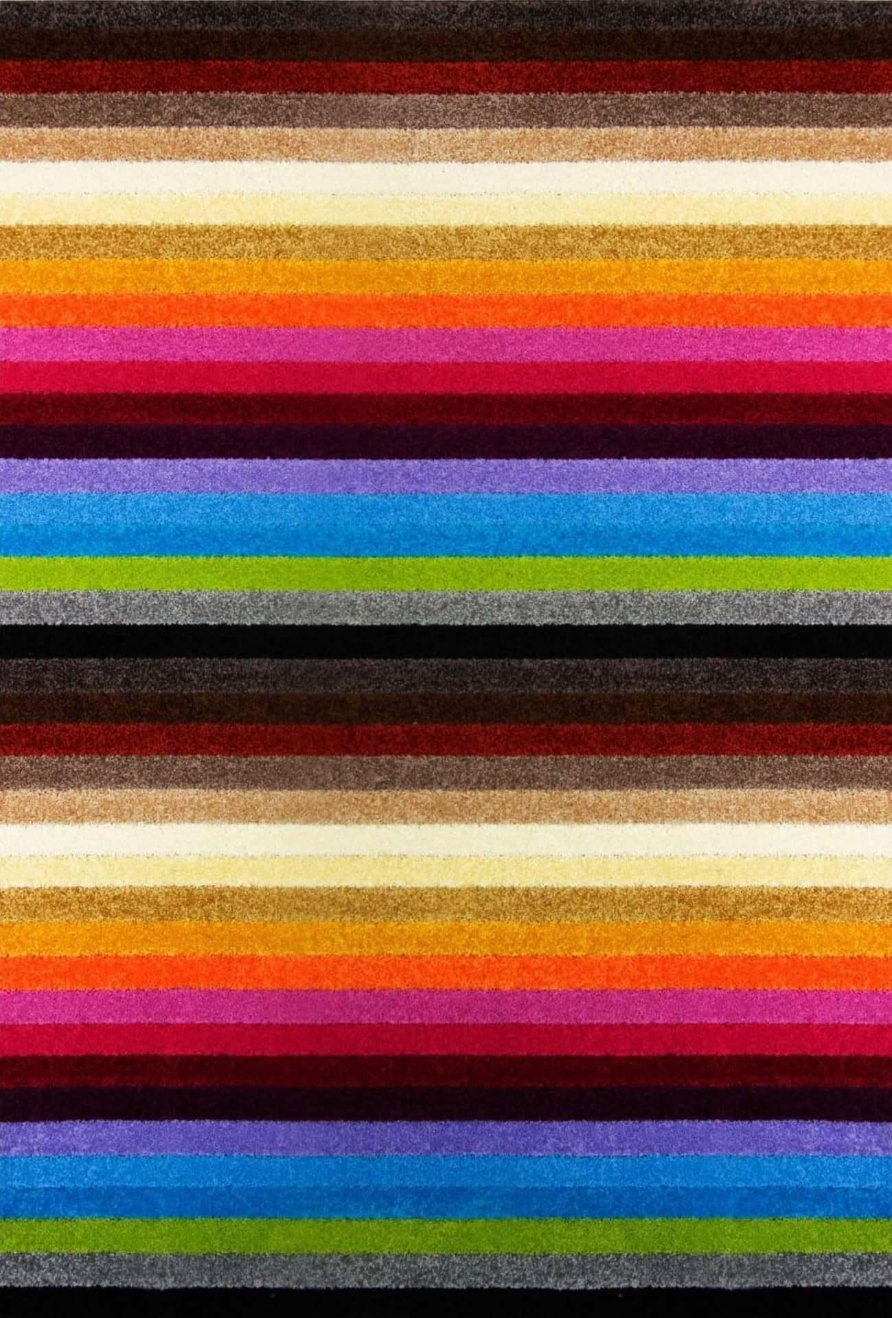 LINEA-MULTICOLOUR-2 - Bobobiy
