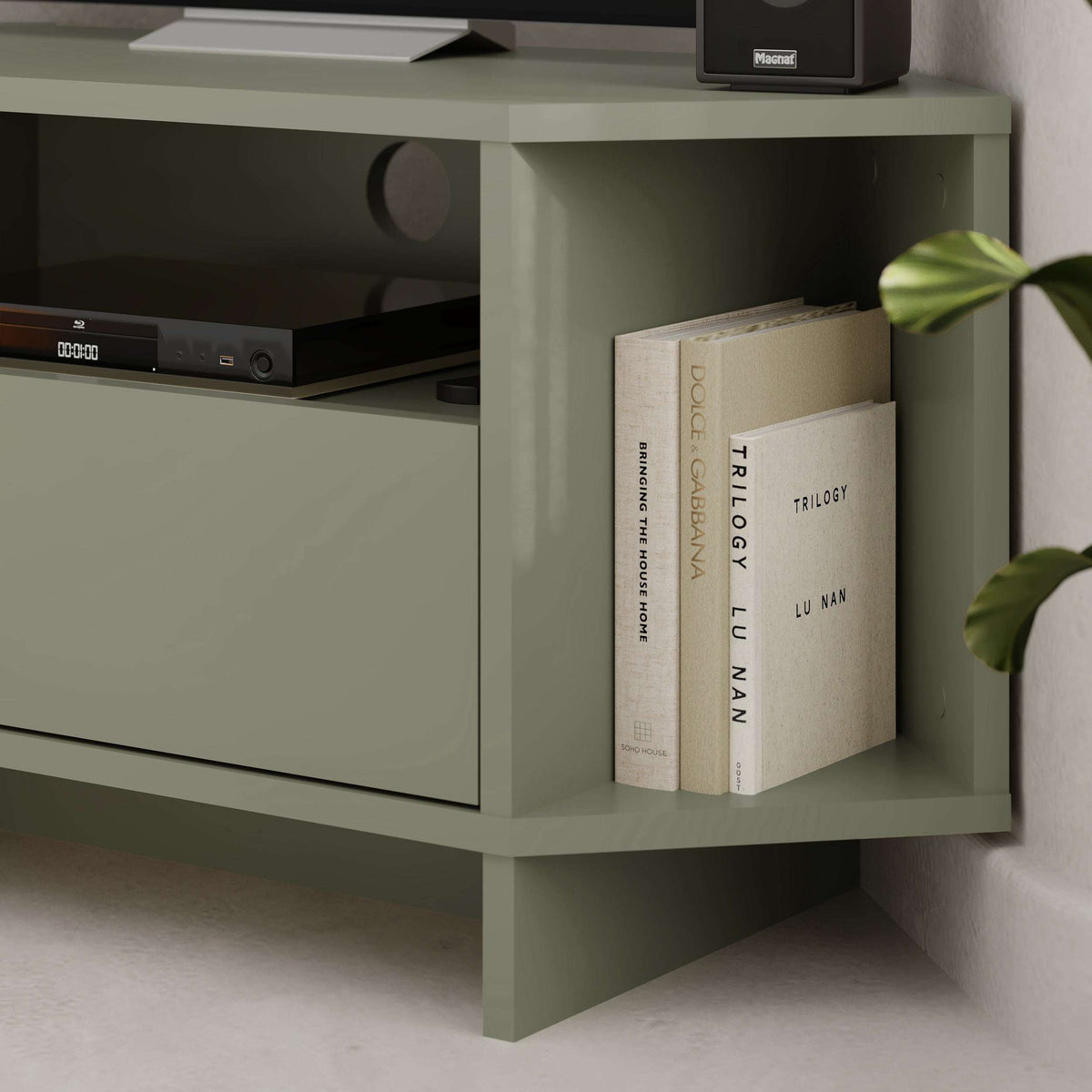 Sage green corner TV console corner compartment holding books