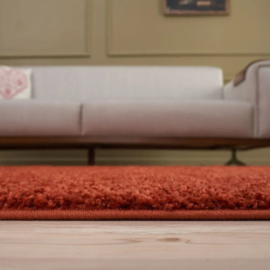 Myshaggy_Solid_Terra_Rug-9 - Bobobiy
