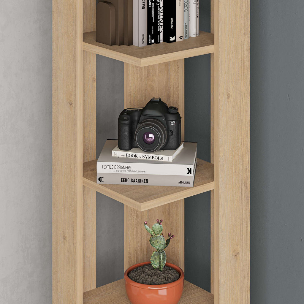 Close-up of light oak tall bookcase showing open shelves with camera, books, and cactus pot.