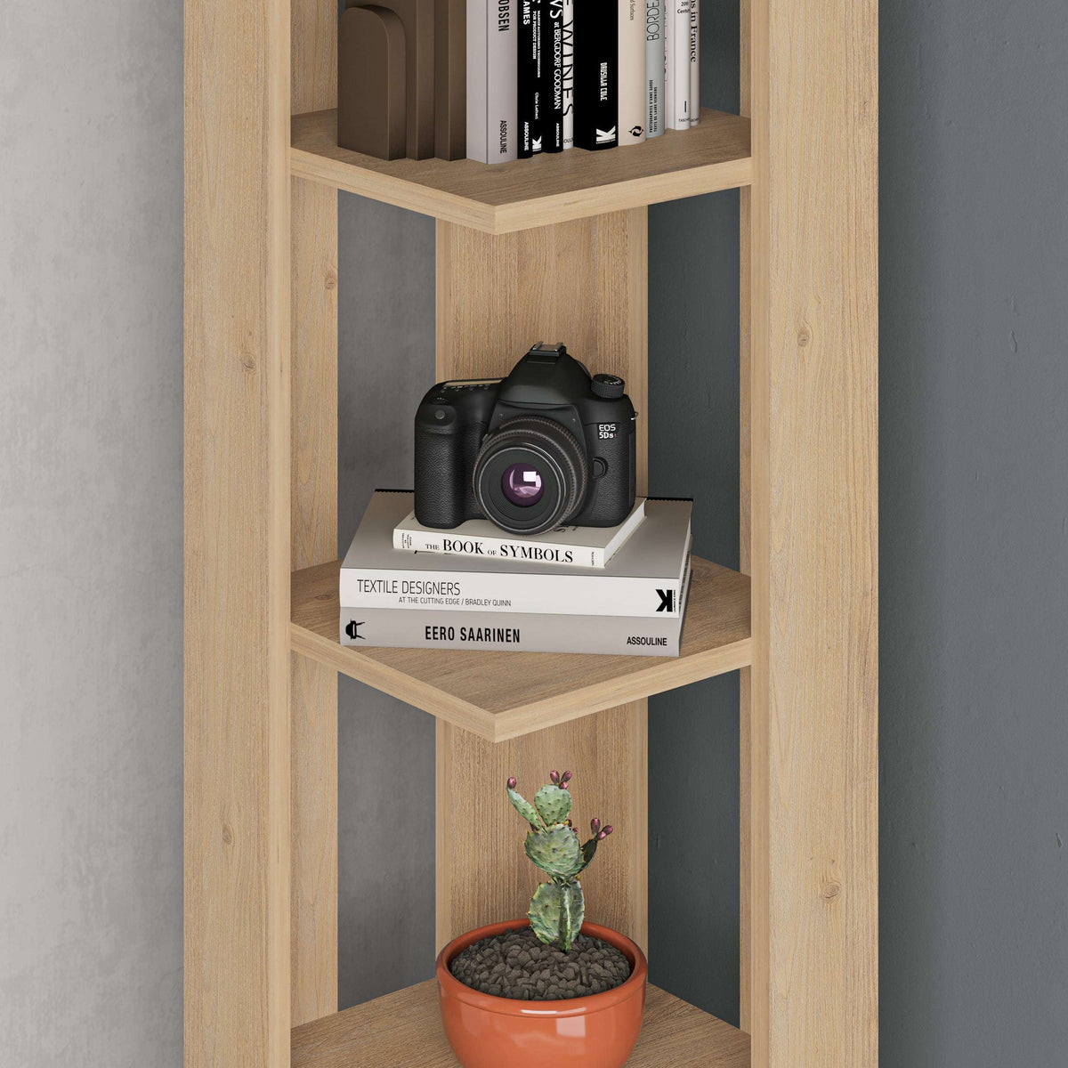 Close-up of light oak tall bookcase showing open shelves with camera, books, and cactus pot.