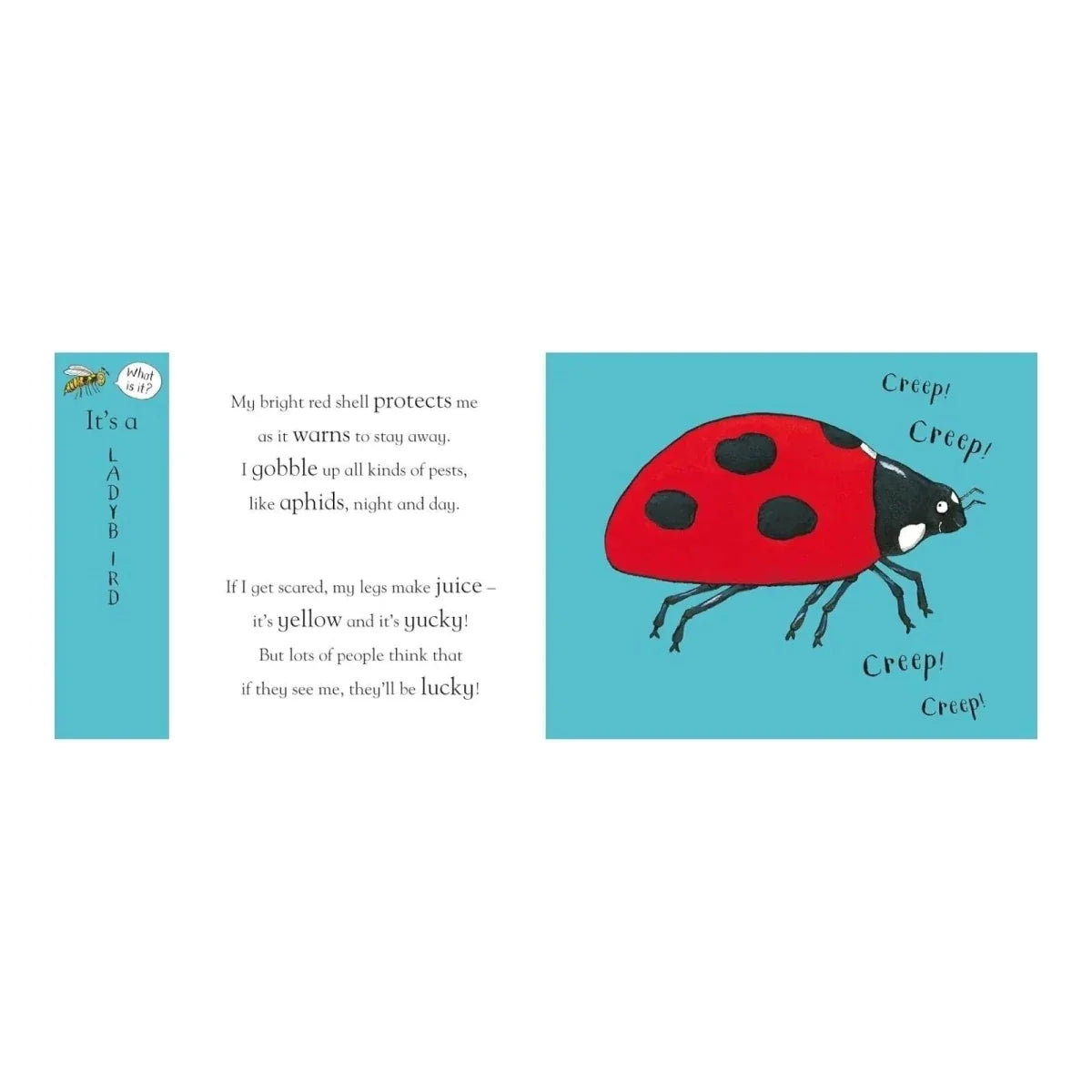 Open book spread with rhyming text and illustrated ladybug with beetle, "Creep!"