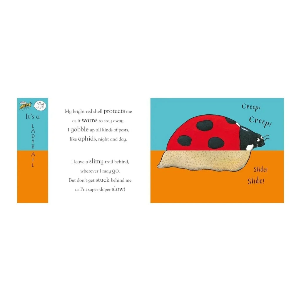 Open book spread with rhyming text and illustrated ladybug with "Creepy! Creepy!"