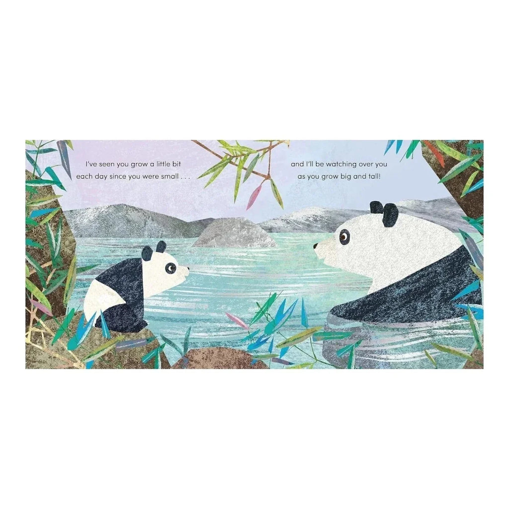 Children's picture book cover with two pandas facing by a river, bamboo border