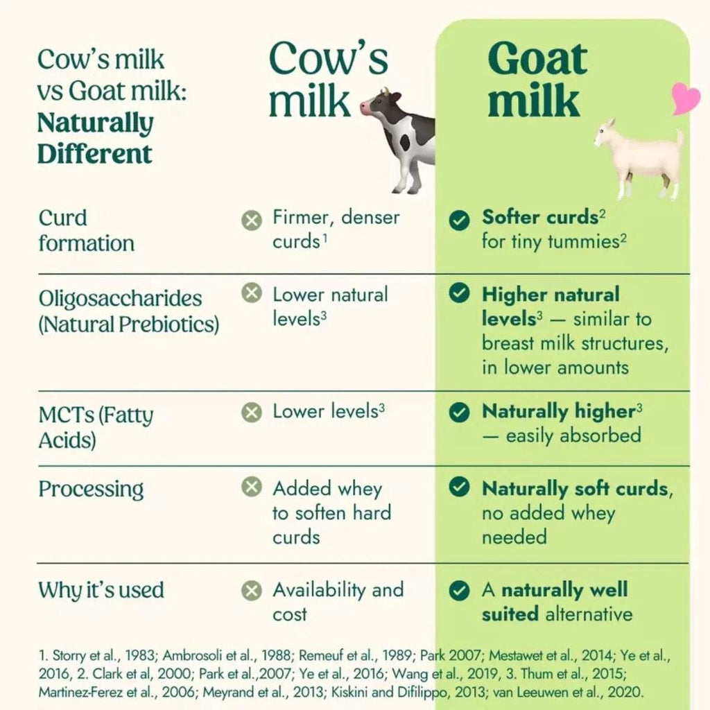 Cow’s milk vs goat milk comparison chart panel with curd and prebiotics notes