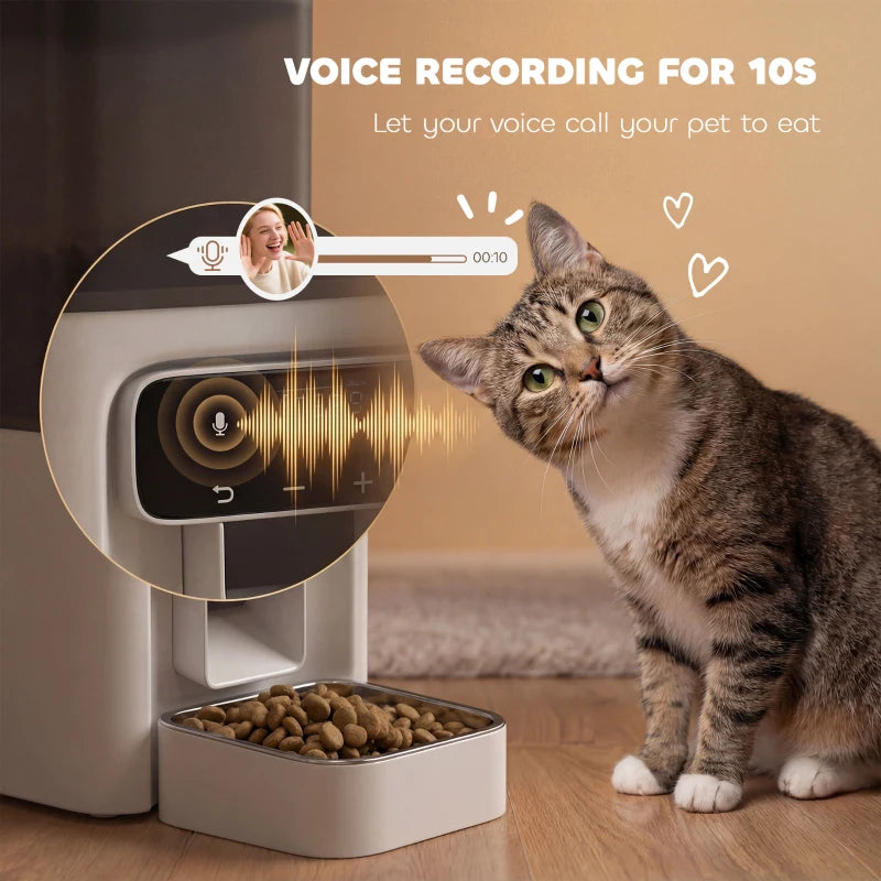 Cat-friendly voice recording automatic feeder with LCD panel and open feeding bowl