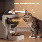 Cat-friendly voice recording automatic feeder with LCD panel and open feeding bowl