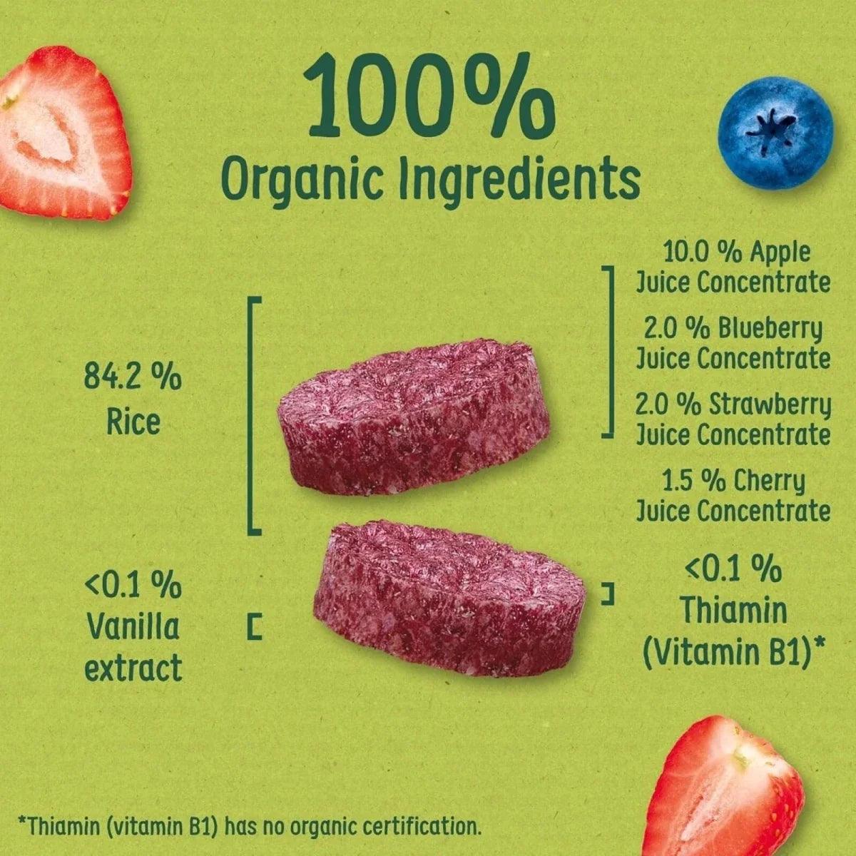 Two purple summer fruits rice cake pieces on pack panel