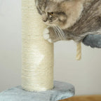 Grey tabby cat reaching on a plush perch beside a sisal-wrapped scratching post