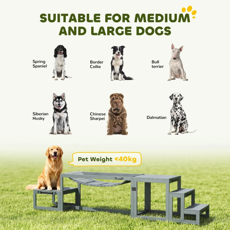 Grey wooden dog agility set with bridge ramp and two step platforms