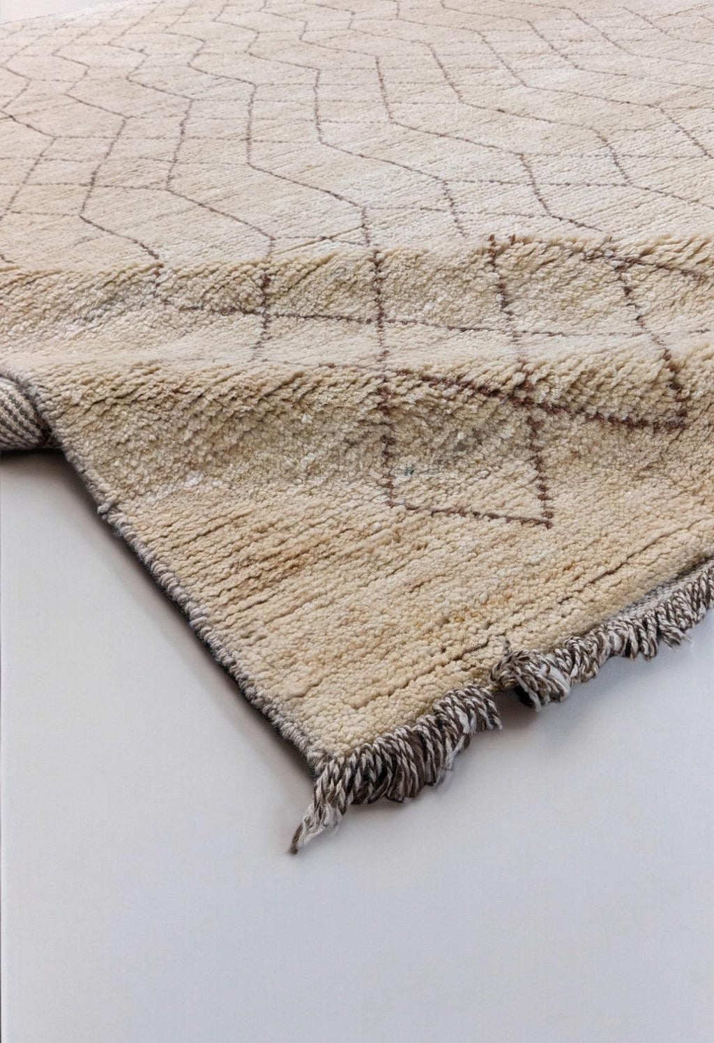 Bazm Hand Knotted Rug - 278 x 189 cm - Handmade