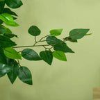 Green artificial ficus leaves on branching stems, close-up