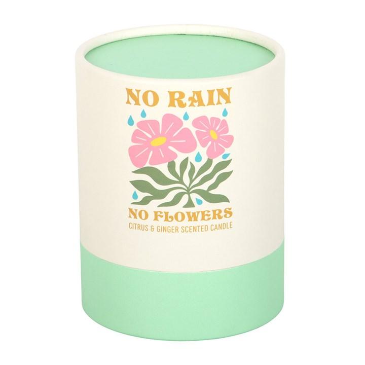 No Rain, No Flowers Citrus & Ginger Candle