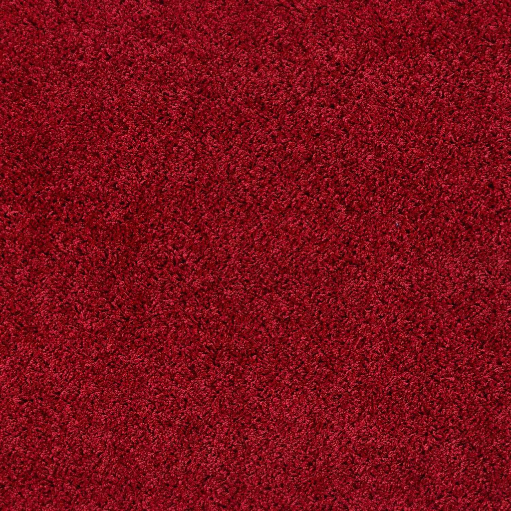 Washable Red Shaggy Rug