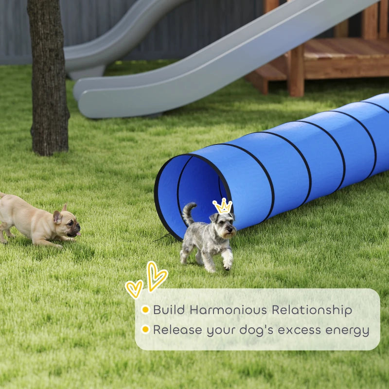 Blue outdoor dog agility tunnel with circular openings on green grass
