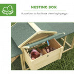 Wooden nesting box with green roof cover and visible eggs inside