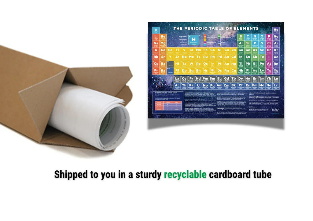 Shipped_to_you_in_a_sturdy_tube_1 - Bobobiy