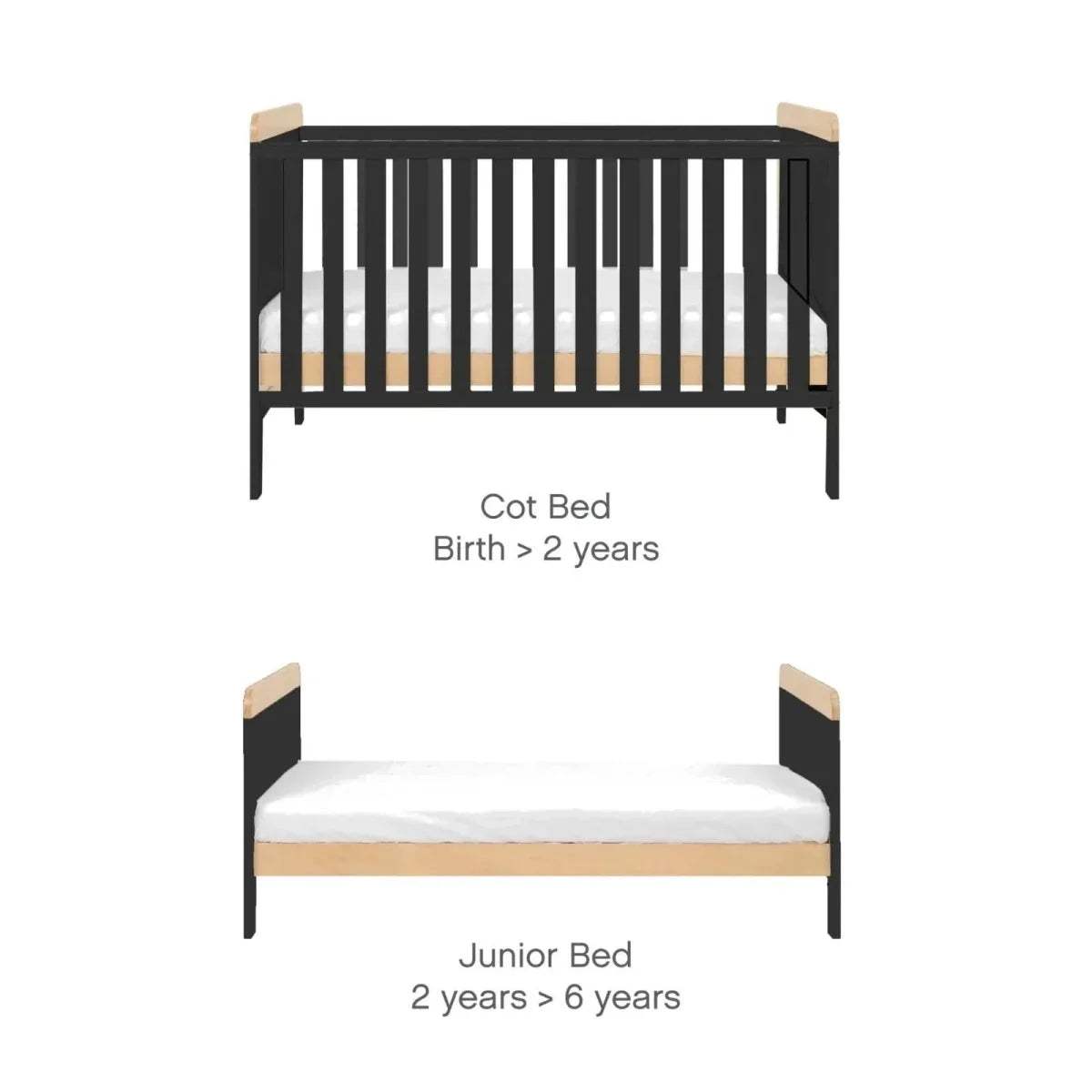 Cot bed design in slate gray with honey oak rails; size labels for cot and junior bed
