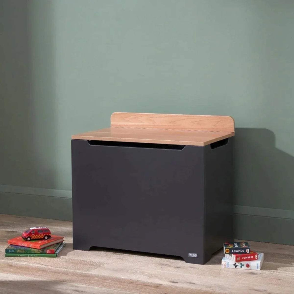 Children's toy box with dark slate body and honey oak hinged lid