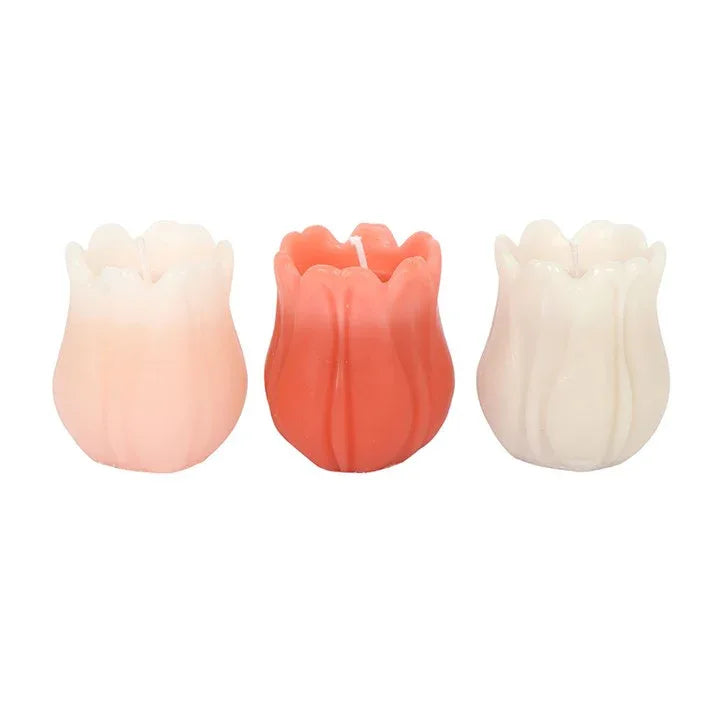 Set of 3 Tulip Shaped Candles - Bobobiy